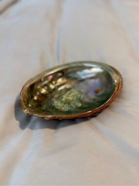 Large Vintage Red Abalone Seashell Mother of Pearl Shell 6" X 8" TRINKET DISH